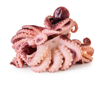蛋白质 开胃菜 美食家 小吃 烹饪 海洋 章鱼 鱿鱼 饮食