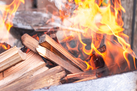 自然 营地 野火 地狱 燃烧 余烬 火灾 木材 汽油 易燃