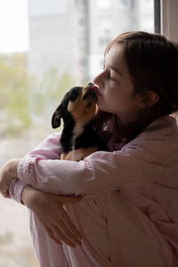 犬科动物 照顾 宝贝 小孩 纯种 女孩 头发 面对 哺乳动物