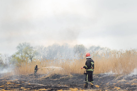 危险 喷雾 夏天 攻击 森林 消防队员 火焰 灾难 环境