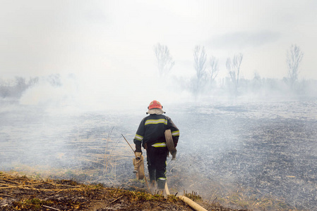 野生动物 空气污染 土地 环境 生态学 破坏 荒野 火焰