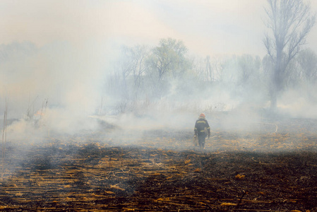 紧急情况 生态学 攻击 热的 熄灭 危险的 损害 荒野 火焰