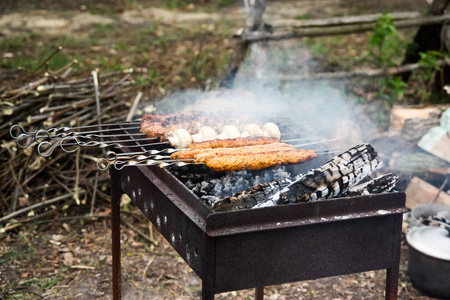 好吃 热的 烹饪 食物 洋葱 开胃菜 牛排 聚会 烤架 夏天