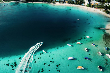 美丽的 旅游业 沿海 假期 放松 海洋 全景 毛里求斯 天堂