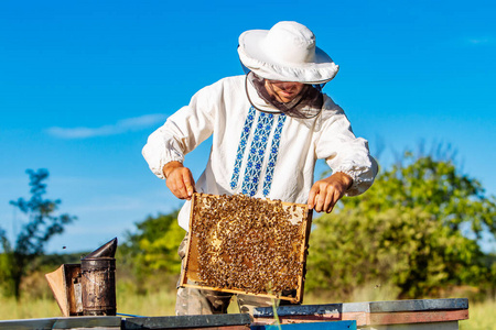 蜂蜜 昆虫 保护 养蜂人 职业 蜜蜂 适合 细胞 肖像 养蜂场