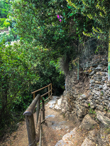 小山 地中海 利古里亚 风景 全景图 自然 海景 港湾 意大利语