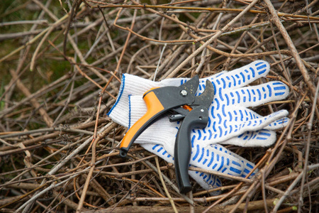 蓝白相间的花园手套，带园艺护工，用于在花园里的一堆嫩枝上工作