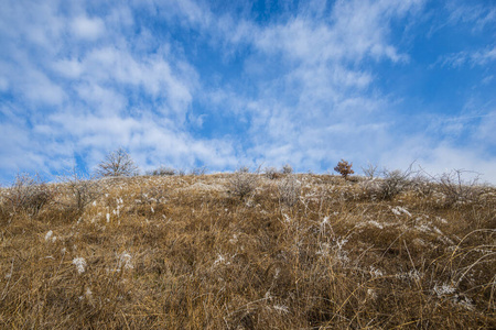 春天 草地 风景 场景 领域 季节 环境 农田 乡村 自然