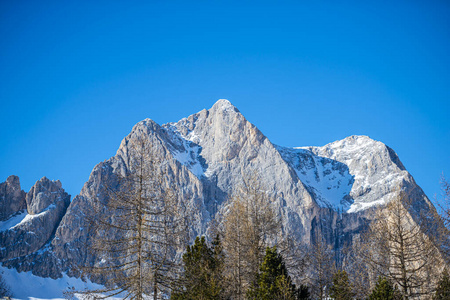 旅行 自然 旅游业 阿尔卑斯山 目的地 季节 风景 森林