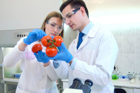 实验室工作人员检查水果和蔬菜并制作