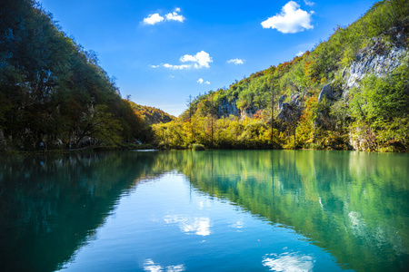 自然 植物区系 森林 乡村 池塘 旅行 季节 木材 风景