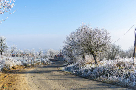 美丽的 冬天 乡村 白霜 寒冷的 村庄 蓝天 天气 季节