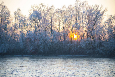天气 自然 风景 美丽的 环境 白霜 池塘 早晨 寒冷的