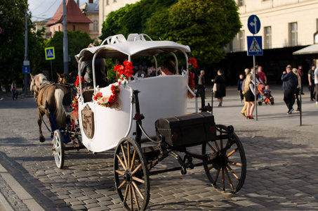 广场 街道 欧洲 历史 旅行 乌克兰 文化 动物 运输 吸引力