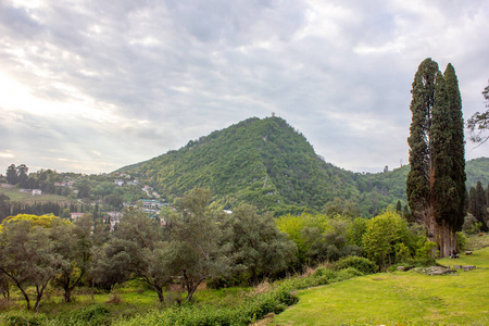 土地 季节 地平线 夏天 风景 环境 阿尔卑斯山 岩石 旅行