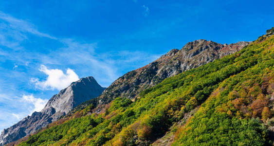 旅行 村庄 多芬 风景 岩石 欧洲 徒步旅行 阿尔卑斯山