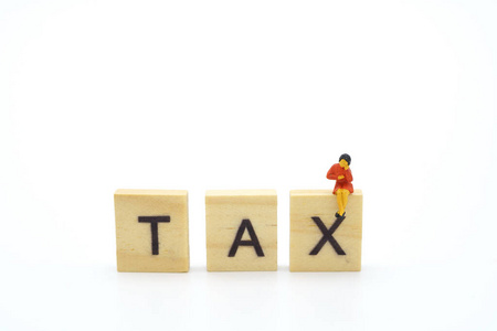 支付 付款 税收 文件 经济 计算 服务 形式 债务 收入