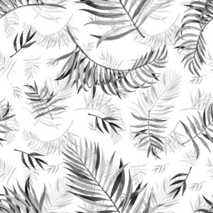 树叶 季节 自然 棕榈 热带 水彩 绘画 花的 怪兽 插图