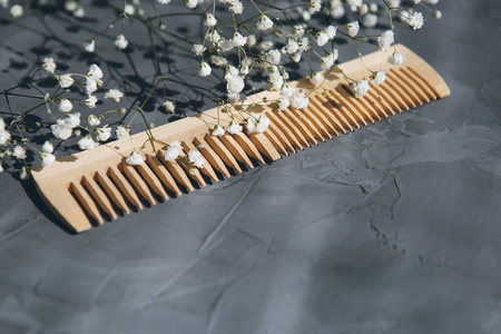 卫生 自由的 发型 身体 复制空间 毛刷 木材 自然 附件