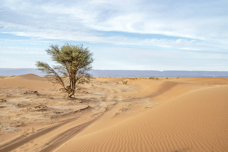 地图集 风景 美丽的 自然 旅行 干旱 荒野 沙丘 山谷