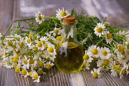 生活 美丽的 草药 本质 玻璃 芬芳 芳香疗法 皮肤 植物