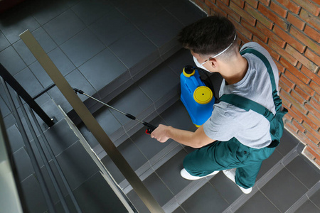 喷涂 安全 杀虫剂 成人 照顾 楼梯 喷雾 预防 卫生