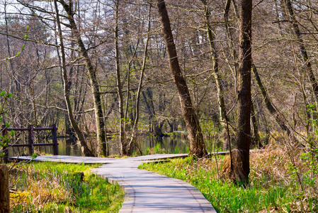 通路 秋天 木材 落下 追踪 季节 徒步旅行 公园 春天