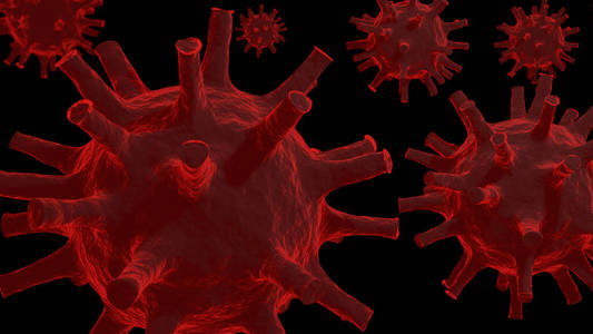 冠状病毒 病毒 肺炎 微生物学 大流行 病毒学 症状 感染