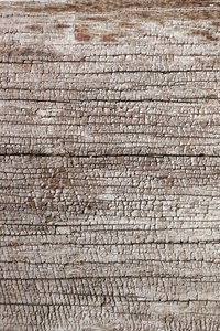 墙纸 硬木 古老的 纹理 特写镜头 颜色 木材 材料 自然