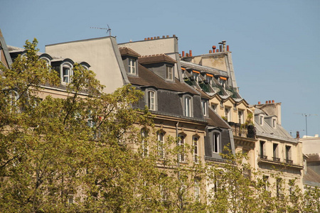 大都市 巴黎人 建设 街道 建筑学 窗户 法国人 市中心