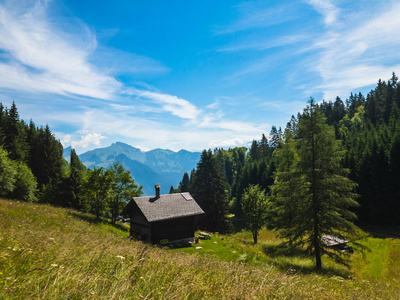 瑞士住宅的夏季山地景观图片