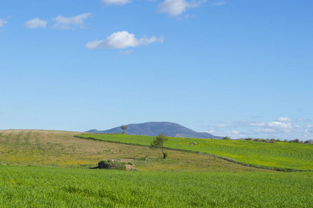 西班牙 土地 季节 美女 乡村 小山 自然 草地 领域 天空