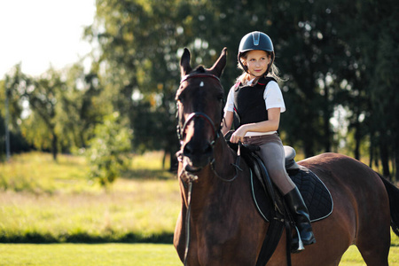 冠军一匹马图片