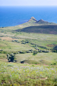 乡村 草地 领域 天空 夏天 小山 丘陵 冰岛 苏格兰 全景图