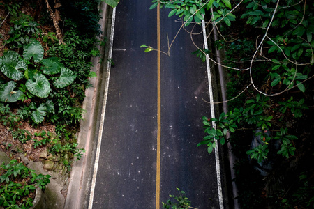 场景 开车 秋天 领域 美丽的 风景 小山 国家 运输 太阳