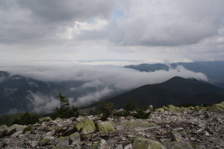 风景 夏天 山谷 自然 环境 小山 旅行 岩石 森林 旅游业