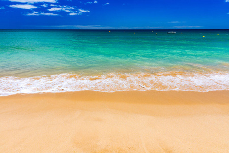 美丽的 海洋 放松 海景 很完美 地平线 海湾 海岸线 夏天