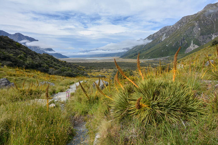 天空 全景图 森林 风景 小山 旅行 草地 山谷 自然 秋天