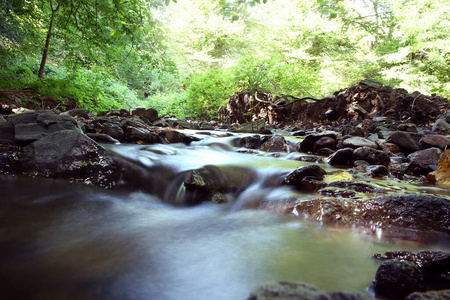 流动 小溪 旅行 瀑布 岩石 环境 公园 树叶 风景 流动的