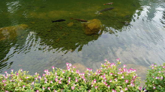 公园 古老的 旅游业 自然 花园 城市 岩石 夏天 风景