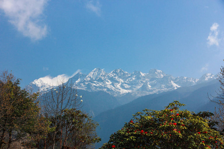 高的 欧洲 公园 徒步旅行 高地 场景 山谷 旅游业 波兰