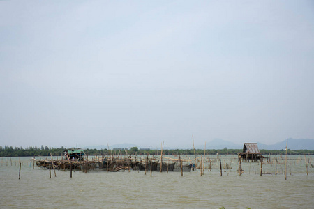 木材 海洋 旅行 陷阱 渔夫 亚洲 海鲜 食物 工作 生活