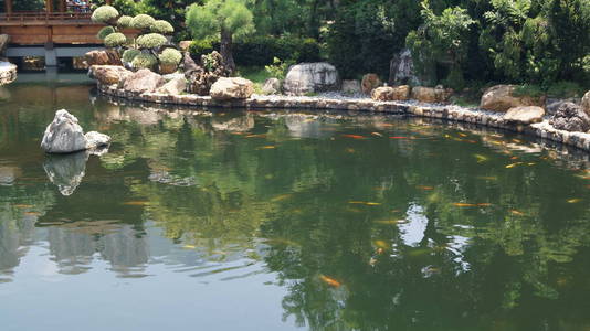 森林 自然 美丽的 花园 夏天 公园 池塘 流动 岩石 反射