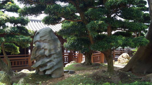 自然 森林 旅游业 天空 建筑学 岩石 花园 公园 风景