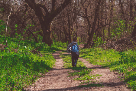 独行侠春天森林里的小男孩徒步旅行者，沿着小路走到远处