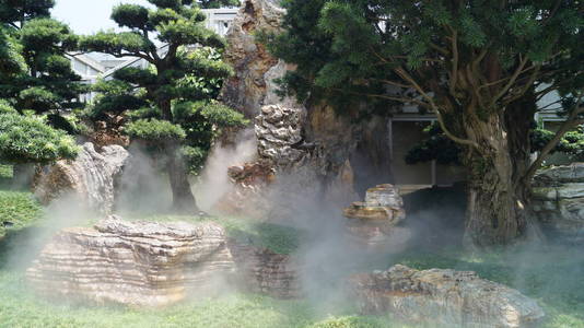 夏天 城市 古老的 岩石 风景 天空 植物 旅游业 花园