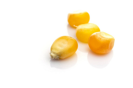 详细甜生玉米种子或玉米粒分离在白色.农业背景-甜黄色爆米花.