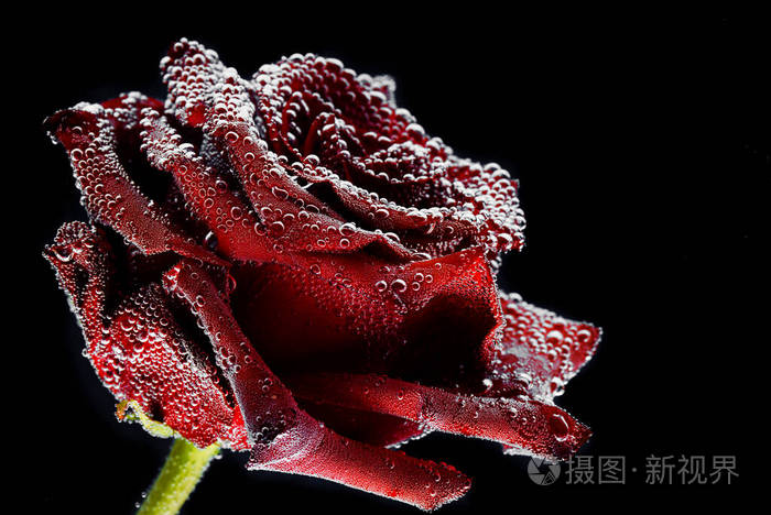 选择jpg大 6373*4257px无水印下载免费10次/天下载小样发票合同问题