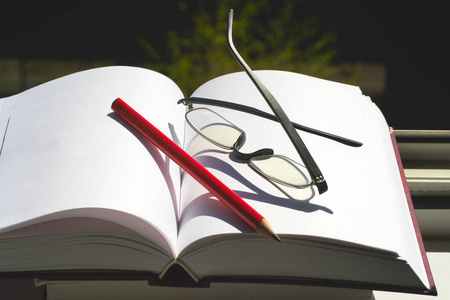 打开的书和笔图片