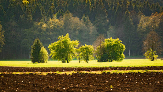 奥地利的农田和森林景观。初春绿树成荫